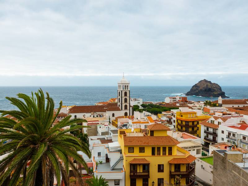 Immagine 3